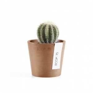 Amsterdam Mini small pot 8 Terracotta