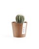 Amsterdam Mini small pot 8 Terracotta Small pot amsterdam mini Amsterdam Mini small pot 8 Terracotta Small pot amsterdam mini