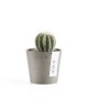 Amsterdam Mini small pot 8 Taupe Small pot amsterdam mini Amsterdam Mini small pot 8 Taupe Small pot amsterdam mini