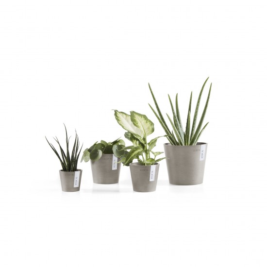 Amsterdam Mini small pot 8 Taupe Small pot amsterdam mini Amsterdam Mini small pot 8 Taupe Small pot amsterdam mini