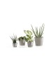 Amsterdam Mini small pot 8 Taupe Small pot amsterdam mini Amsterdam Mini small pot 8 Taupe Small pot amsterdam mini
