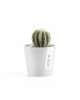 Amsterdam Mini small pot 8 Pure White Small pot amsterdam mini Amsterdam Mini small pot 8 Pure White Small pot amsterdam mini