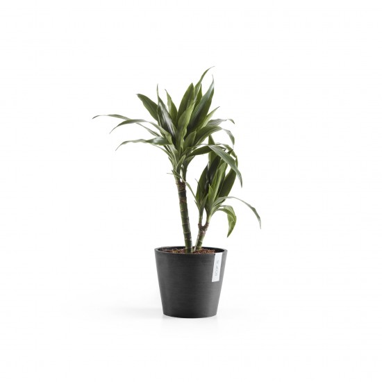 Amsterdam round pot 20 Dark Grey Amsterdam pot Amsterdam round pot 20 Dark Grey Amsterdam pot