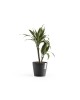 Amsterdam round pot 20 Dark Grey Amsterdam pot Amsterdam round pot 20 Dark Grey Amsterdam pot