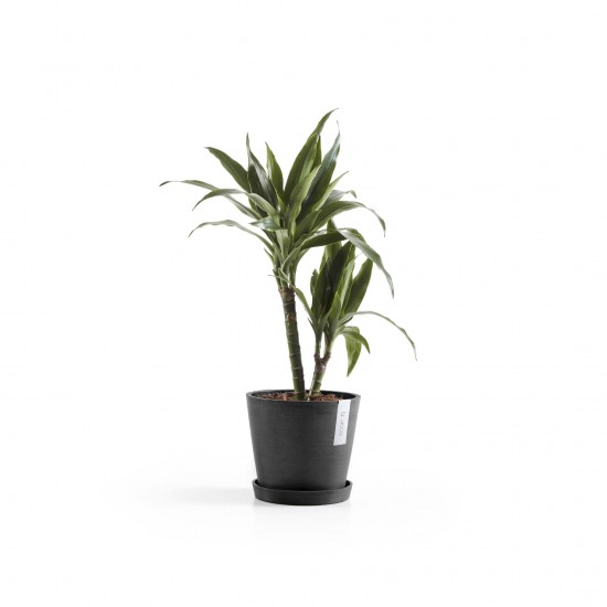 Amsterdam round pot 20 Dark Grey Amsterdam pot Amsterdam round pot 20 Dark Grey Amsterdam pot