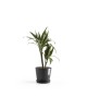 Amsterdam round pot 20 Dark Grey Amsterdam pot Amsterdam round pot 20 Dark Grey Amsterdam pot