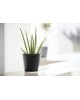 Amsterdam round pot 20 Dark Grey Amsterdam pot Amsterdam round pot 20 Dark Grey Amsterdam pot