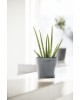 Amsterdam round pot 20 Blue Grey Amsterdam pot Amsterdam round pot 20 Blue Grey Amsterdam pot