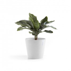 Γλάστρα στρογγυλή Amsterdam 25 Pure White