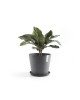 Amsterdam round pot 25 Grey Amsterdam pot Amsterdam round pot 25 Grey Amsterdam pot