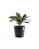 Amsterdam round pot 25 Dark Grey Amsterdam pot Amsterdam round pot 25 Dark Grey Amsterdam pot