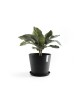 Amsterdam round pot 25 Dark Grey Amsterdam pot Amsterdam round pot 25 Dark Grey Amsterdam pot