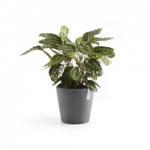 Amsterdam round pot 30 Grey