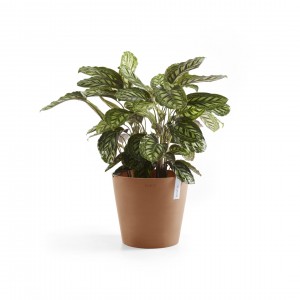 Amsterdam round pot 30 Terracotta