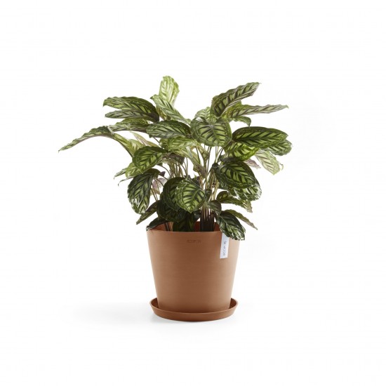 Amsterdam round pot 30 Terracotta Amsterdam pot Amsterdam round pot 30 Terracotta Amsterdam pot