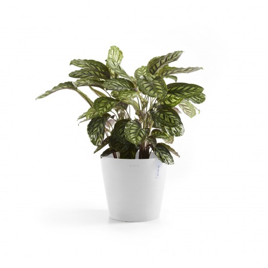 Amsterdam round pot 30 Pure White Amsterdam pot Amsterdam round pot 30 Pure White Amsterdam pot