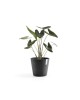Amsterdam round pot 40 Dark Grey Amsterdam pot Amsterdam round pot 40 Dark Grey Amsterdam pot