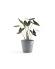Amsterdam round pot 40 Blue Grey Amsterdam pot Amsterdam round pot 40 Blue Grey Amsterdam pot