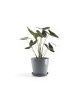 Amsterdam round pot 40 Blue Grey Amsterdam pot Amsterdam round pot 40 Blue Grey Amsterdam pot
