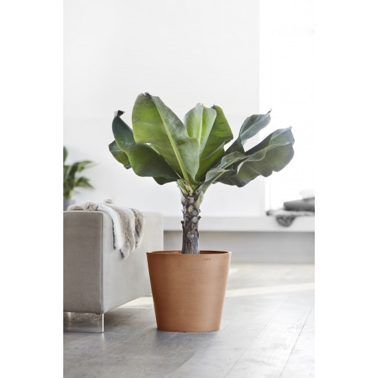 Γλάστρα στρογγυλή Amsterdam 40 Terracotta Γλάστρα amsterdam Γλάστρα στρογγυλή Amsterdam 40 Terracotta Γλάστρα amsterdam