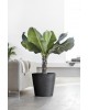 Amsterdam round pot 50 Dark Grey Amsterdam pot Amsterdam round pot 50 Dark Grey Amsterdam pot