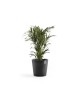 Amsterdam round pot 50 Dark Grey Amsterdam pot Amsterdam round pot 50 Dark Grey Amsterdam pot