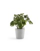 Amsterdam round pot 60 White Grey Amsterdam pot Amsterdam round pot 60 White Grey Amsterdam pot