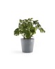 Amsterdam round pot 60 Blue Grey Amsterdam pot Amsterdam round pot 60 Blue Grey Amsterdam pot