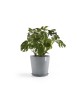 Amsterdam round pot 60 Blue Grey Amsterdam pot Amsterdam round pot 60 Blue Grey Amsterdam pot