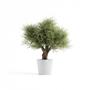 Amsterdam round pot 70 Pure White