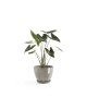 Antwerp round pot 40 Taupe Antwerp pot Antwerp round pot 40 Taupe Antwerp pot