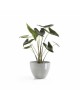 Antwerp oval pot 40 White Grey Antwerp pot 