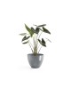 Antwerp round pot 40 Blue Grey Antwerp pot Antwerp round pot 40 Blue Grey Antwerp pot
