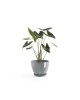 Antwerp round pot 40 Blue Grey Antwerp pot Antwerp round pot 40 Blue Grey Antwerp pot