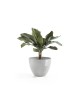Antwerp round pot 50 White Grey Antwerp pot Antwerp round pot 50 White Grey Antwerp pot
