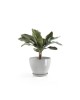 Antwerp round pot 50 White Grey Antwerp pot Antwerp round pot 50 White Grey Antwerp pot
