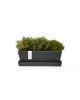 Ζαρντινιέρα Bruges Mini 25 Dark Grey με πιάτο Ζαρντινιέρες bruges mini σετ Ζαρντινιέρα Bruges Mini 25 Dark Grey με πιάτο Ζαρντινιέρες bruges mini σετ