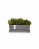 Rectangular planter Bruges Mini 25 Grey with saucer Renctangular bruges mini