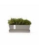 Rectangular planter Bruges Mini 25 Taupe with saucer Renctangular bruges mini