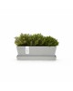 Rectangular planter Bruges Mini 25 White Grey with saucer Renctangular bruges mini