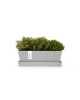 Rectangular planter Bruges Mini 25 White Grey with saucer Renctangular bruges mini Rectangular planter Bruges Mini 25 White Grey with saucer Renctangular bruges mini