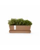 Rectangular planter Bruges Mini 25 Terracotta with saucer Renctangular bruges mini