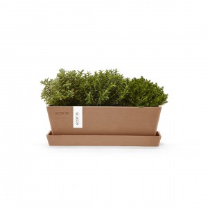 Rectangular planter Bruges Mini 25 Terracotta with saucer