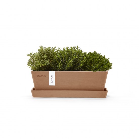 Rectangular planter Bruges Mini 25 Terracotta with saucer Renctangular bruges mini Rectangular planter Bruges Mini 25 Terracotta with saucer Renctangular bruges mini