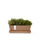 Rectangular planter Bruges Mini 25 Terracotta with saucer Renctangular bruges mini Rectangular planter Bruges Mini 25 Terracotta with saucer Renctangular bruges mini