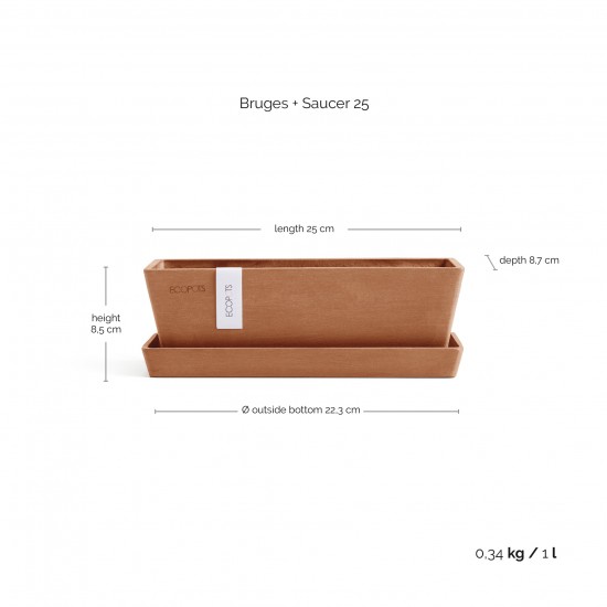 Rectangular planter Bruges Mini 25 Terracotta with saucer Renctangular bruges mini Rectangular planter Bruges Mini 25 Terracotta with saucer Renctangular bruges mini