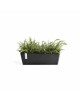 Rectangular planter Bruges 55 Dark Grey Renctangular bruges