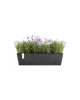 Ζαρντινιέρα Bruges 65 Dark Grey Ζαρντινιέρες bruges Ζαρντινιέρα Bruges 65 Dark Grey Ζαρντινιέρες bruges