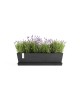 Ζαρντινιέρα Bruges 65 Dark Grey Ζαρντινιέρες bruges Ζαρντινιέρα Bruges 65 Dark Grey Ζαρντινιέρες bruges