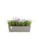 Rectangular planter Bruges 65 Taupe Renctangular bruges Rectangular planter Bruges 65 Taupe Renctangular bruges